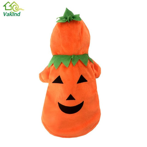 Halloween Costume Pumpkin