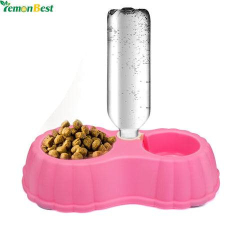 Food Dish Bowl
