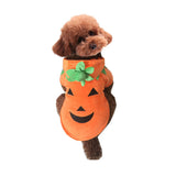 Halloween Costume Pumpkin