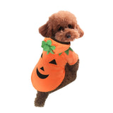 Halloween Costume Pumpkin