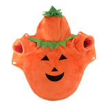 Halloween Costume Pumpkin