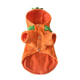 Halloween Costume Pumpkin