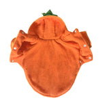 Halloween Costume Pumpkin